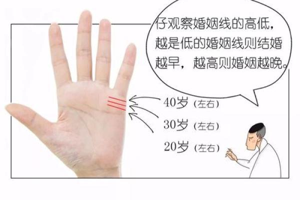 城头土命婚姻配对:寻找完美伴侣的理想指南 城头土命婚姻配对:寻找完美伴侣的理想指南