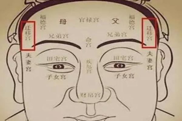 从面相看男女命运,揭秘夫运对生活的影响与选择 从面相看男女命运,揭秘夫运对生活的影响与选择