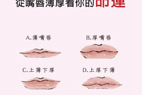 从面相看男女命运,揭秘夫运对生活的影响与选择 从面相看男女命运,揭秘夫运对生活的影响与选择