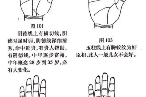 聪明女命的八字命理:揭示智慧与成功的秘密 聪明女命的八字命理:揭示智慧与成功的秘密