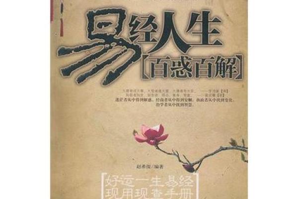 2025年五行命理解析:如何把握人生的机会与挑战 2025年五行命理解析:如何把握人生的机会与挑战