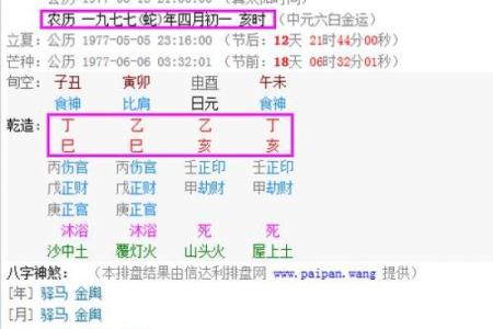 1984年腊月生人命运解析：探索生命中的智慧与挑战