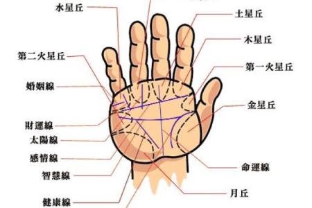 如何判断男人的长寿命，揭秘影响男人寿命的秘密