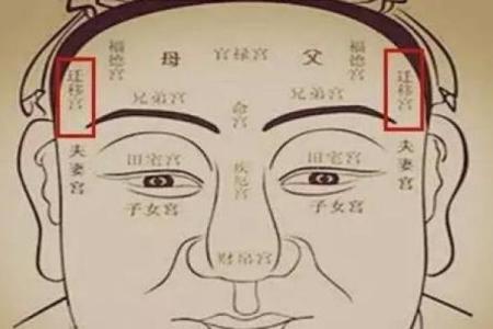 从面相看男女命运，揭秘夫运对生活的影响与选择