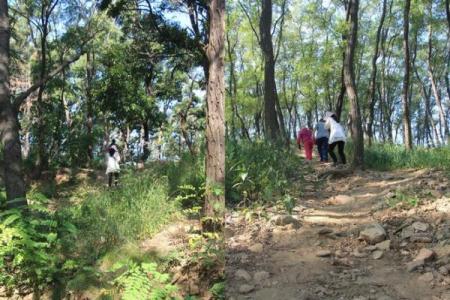 解析2048年属相与命运——揭开未来的神秘面纱