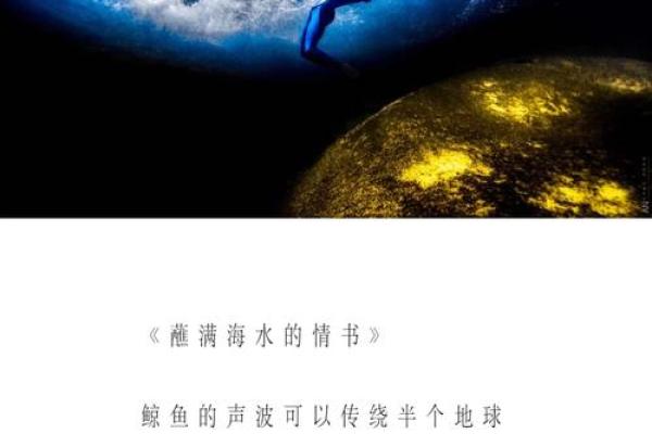 海水命的你,适合用什么钱包?探寻财富与生活的完美结合! 海水命的你,适合用什么钱包?探寻财富与生活的完美结合!