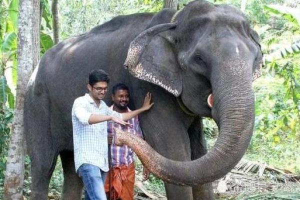 揭秘动物界的长寿者:谁是地球上寿命最长的动物? 揭秘动物界的长寿者:谁是地球上寿命最长的动物?