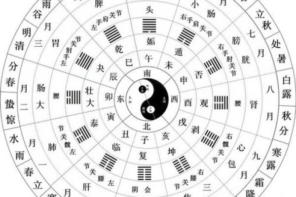 狗宝宝命理解析:木命与金命的区别与特点 狗宝宝命理解析:木命与金命的区别与特点