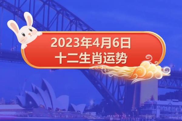 2023年生肖运势分析：兔年人的命理与运程探讨