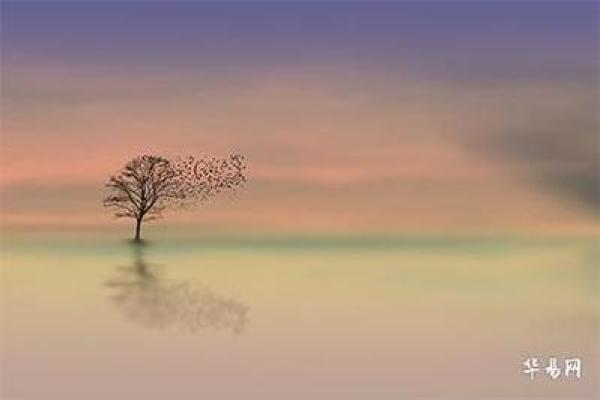 富婆命迁:财富与命运的奇妙交织与转变 富婆命迁:财富与命运的奇妙交织与转变