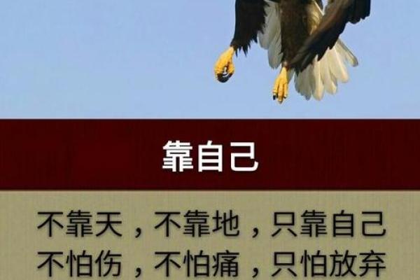 993年属鸡的命运分析：揭示生活中的成就与挑战