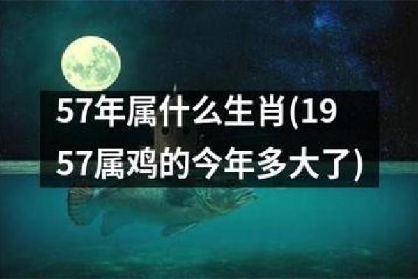 1981年鸡年命运解析：智慧与机遇的交织之路