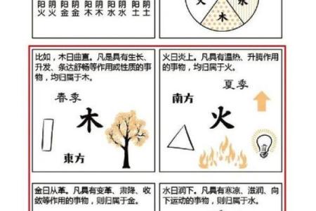 水多火少的木命人——解析木命之人的命理特征与生活智慧