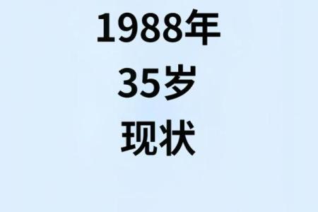 1988年出生的龙：命理解析与生活指南