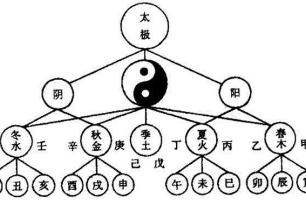 1964年出生女性的命运解读：命理与人生的交汇点