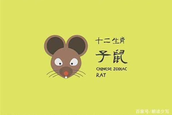 2020年属鼠人:机智与灵活的生活之道 2020年属鼠人:机智与灵活的生活之道