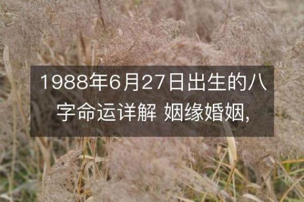 1988年农历二月出生的命运解析与人生启示