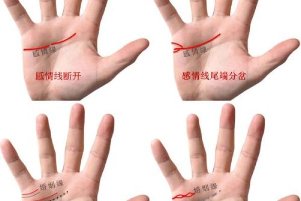 金命人适合的号码选择:开运秘诀与建议 金命人适合的号码选择:开运秘诀与建议