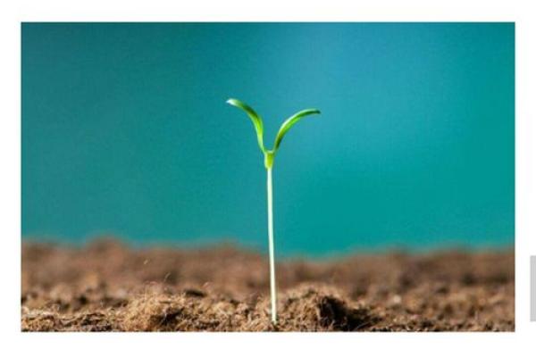 1983年水命的人生轨迹与命运解析 1983年水命的人生轨迹与命运解析