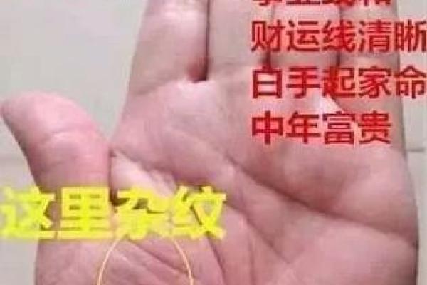 揭秘富贵命:从女人的手掌看人生的财富与幸福 揭秘富贵命:从女人的手掌看人生的财富与幸福