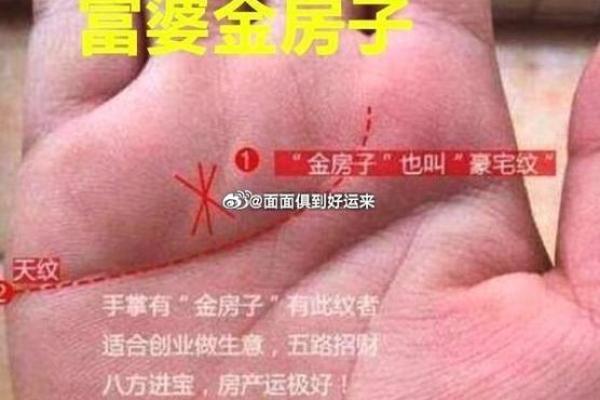 揭秘富贵命:从女人的手掌看人生的财富与幸福 揭秘富贵命:从女人的手掌看人生的财富与幸福