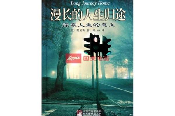 1996年水命的流转:水元素在人生中的意义与影响 1996年水命的流转:水元素在人生中的意义与影响