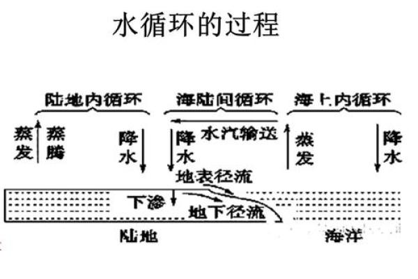 1996年水命的流转:水元素在人生中的意义与影响 1996年水命的流转:水元素在人生中的意义与影响