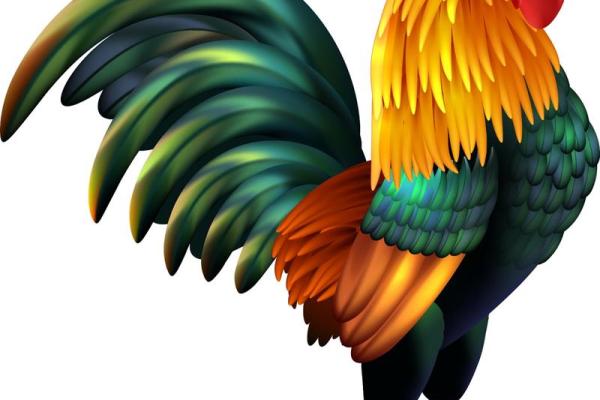 2024年:属龙之年,木命之人如何迎接新挑战与机遇 2024年:属龙之年,木命之人如何迎接新挑战与机遇