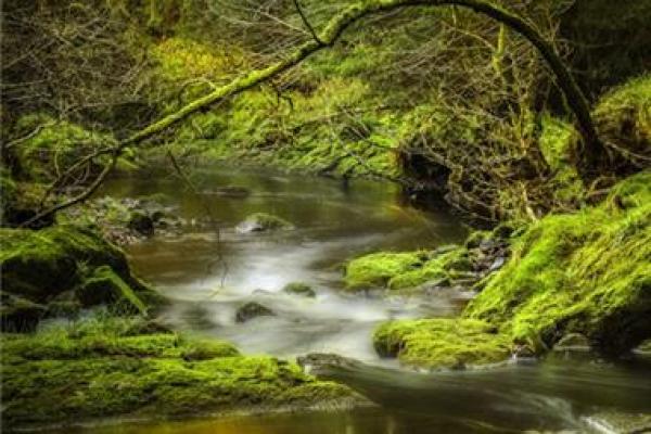 大溪水命适合的图案与象征解析 大溪水命适合的图案与象征解析
