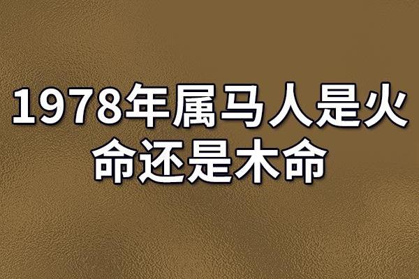 探索木命之道：揭示木命人的独特特质与生活智慧