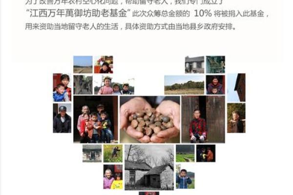 女命怀孕的最佳年份,助你圆梦母亲之心 女命怀孕的最佳年份,助你圆梦母亲之心