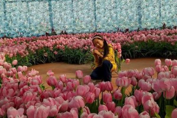 女命怀孕的最佳年份,助你圆梦母亲之心 女命怀孕的最佳年份,助你圆梦母亲之心