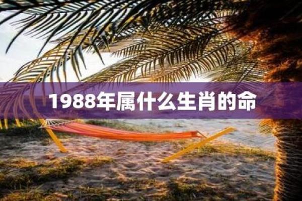 1988年出生者的命运解析：命运与性格的深刻联系