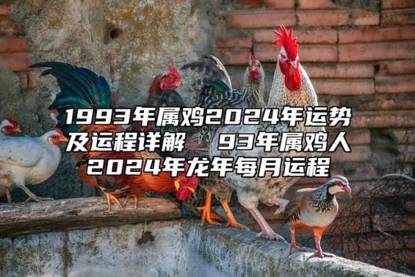 1993年属鸡人的命运与性格解析