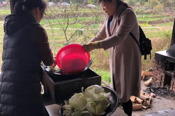 命理学视野下的必读书单：开启你的智慧之旅