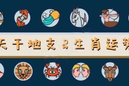 官杀同指，生肖男命女命解析：命运之中藏玄机