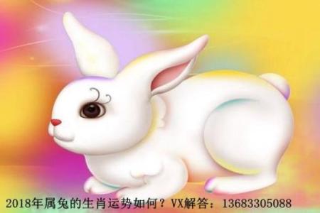 根据出生日期解析你的命运：揭示数字背后的秘密