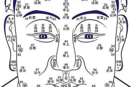 萛命先生的生肖之谜：揭示他背后的性格与命运！