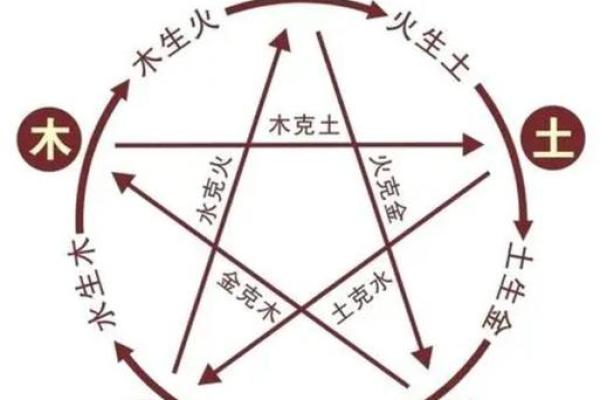 探寻命理奥秘：从出生年份与五行看你的人生轨迹