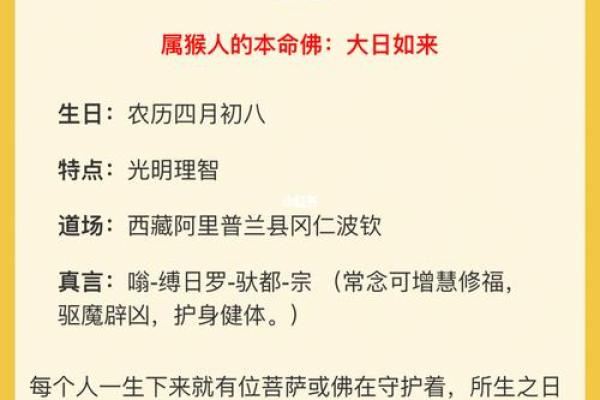 为什么命理会如此差？解密命运背后的奥秘与转机