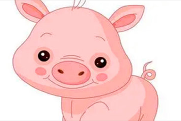 探索2019乙亥年属猪人的命理特征与人生运势 探索2019乙亥年属猪人的命理特征与人生运势