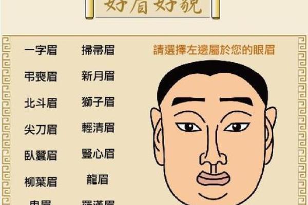 眉毛的长度与命运：从面相学看生活的一切玄机