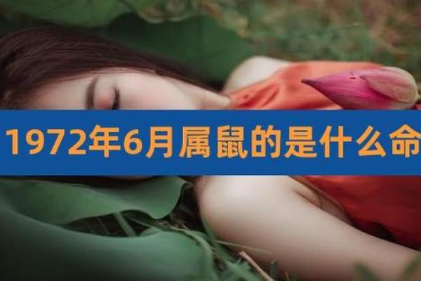 正月女老鼠命运解析：辉煌与挑战并存的生活之旅