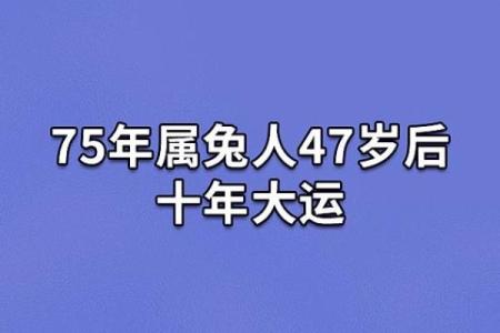 1975年属兔，何为兔年与出生命理的结合探讨