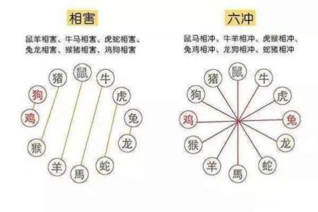 1994年箫木命的命理分析与运势探讨