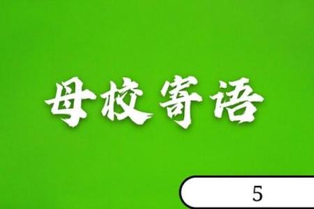 探寻大海水命：如何选择适合的生意，乘风破浪赢未来