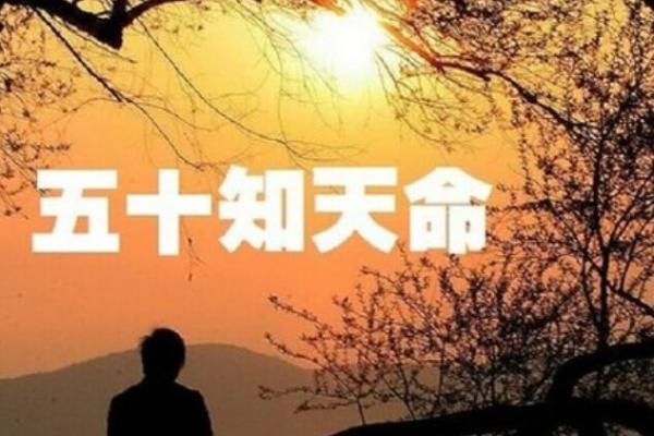 寅年出生男孩的命运解析：探秘生肖之神秘力量与人生轨迹