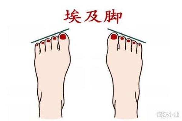 脚是富贵命,揭秘命理之美与人生的秘密 脚是富贵命,揭秘命理之美与人生的秘密