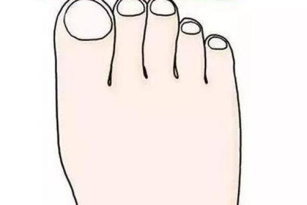 脚形与命运:揭示你人生轨迹的秘密 脚形与命运:揭示你人生轨迹的秘密