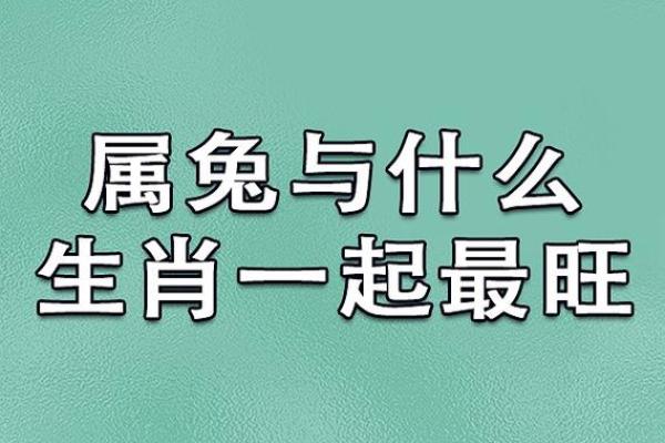 72年属猪人命理解析:解读他们的性格与命运之路 72年属猪人命理解析:解读他们的性格与命运之路